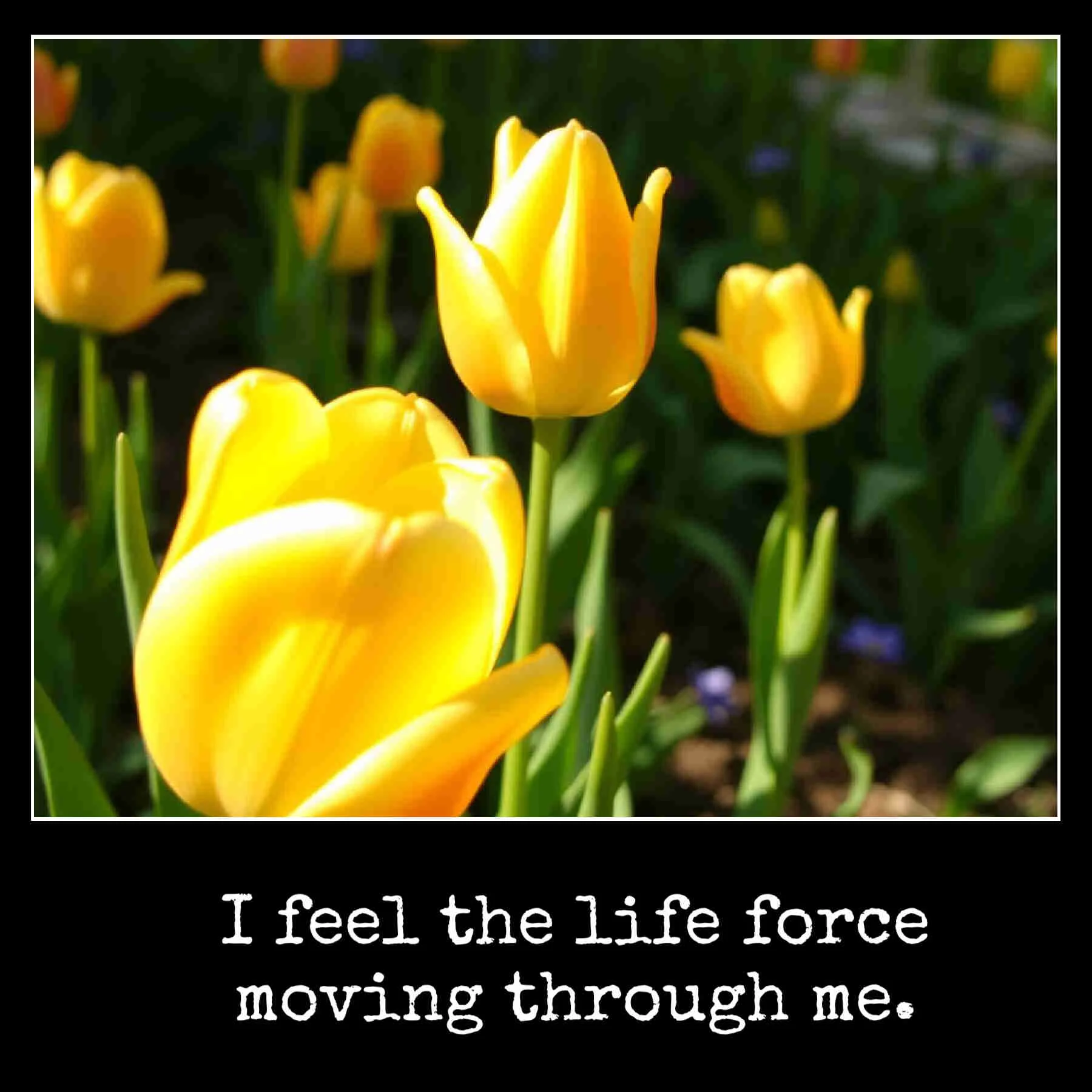 June 2 June 2 I feel the life force moving through me.